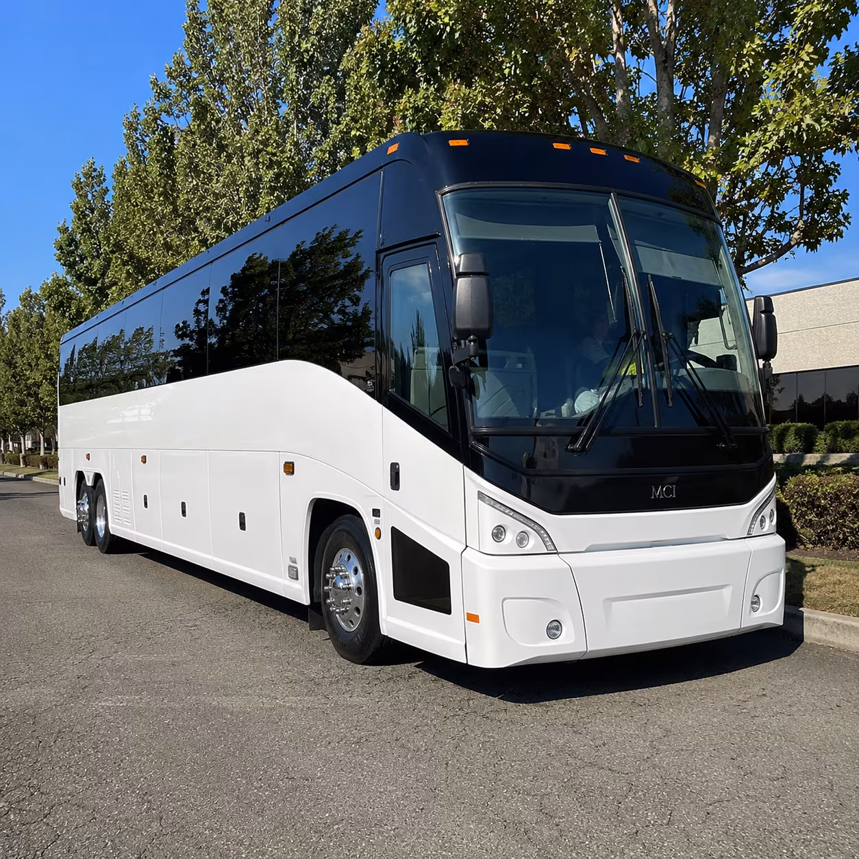 south gate 50 passenger charter bus