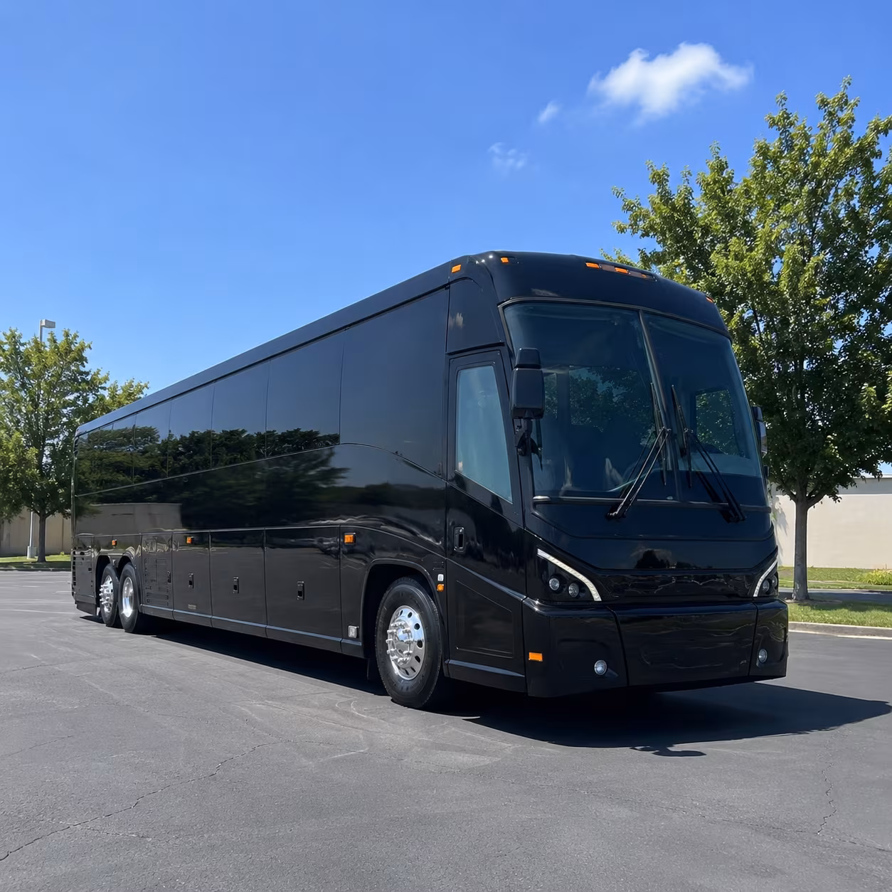 south gate 56 passenger charter bus